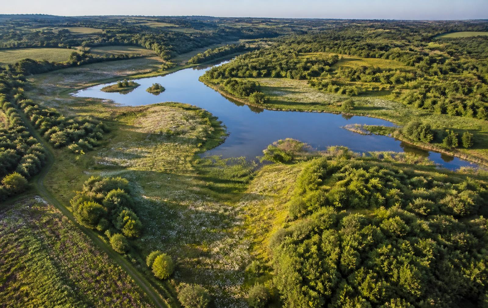 Aerial view of a rewilding park with lake, wetland and meadow